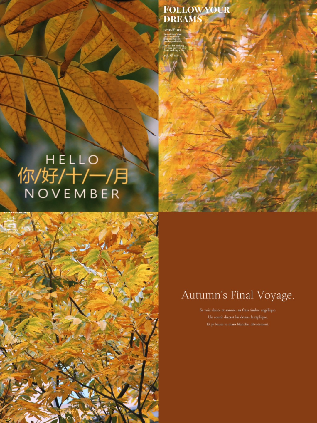 调色·教程｜三个滤镜 捕获南方的秋