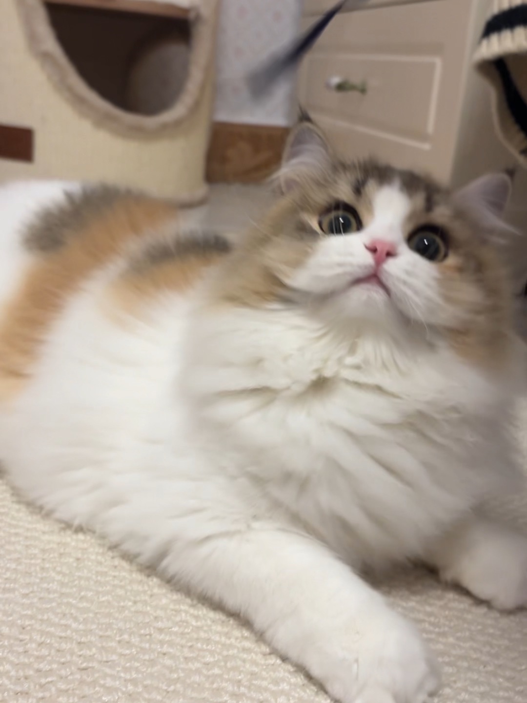 又开始玩啦！！！