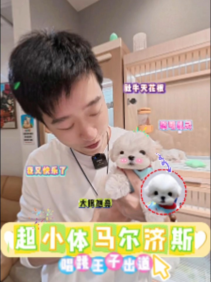 五短身材小甜心🍭这只小马弟弟也太乖了吧！