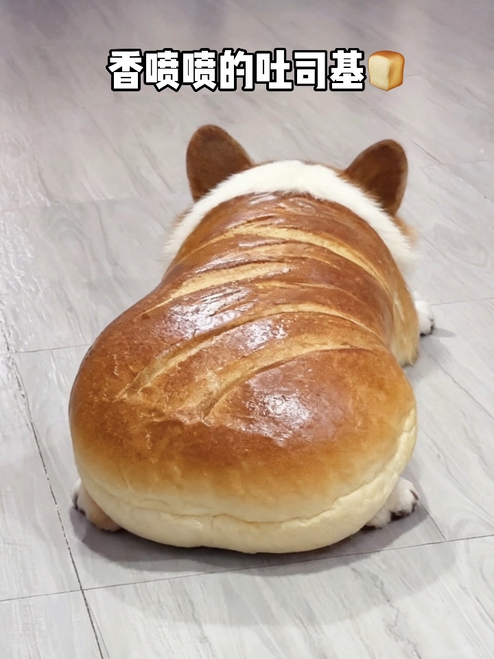 我有大黄吐司🍞你有吗