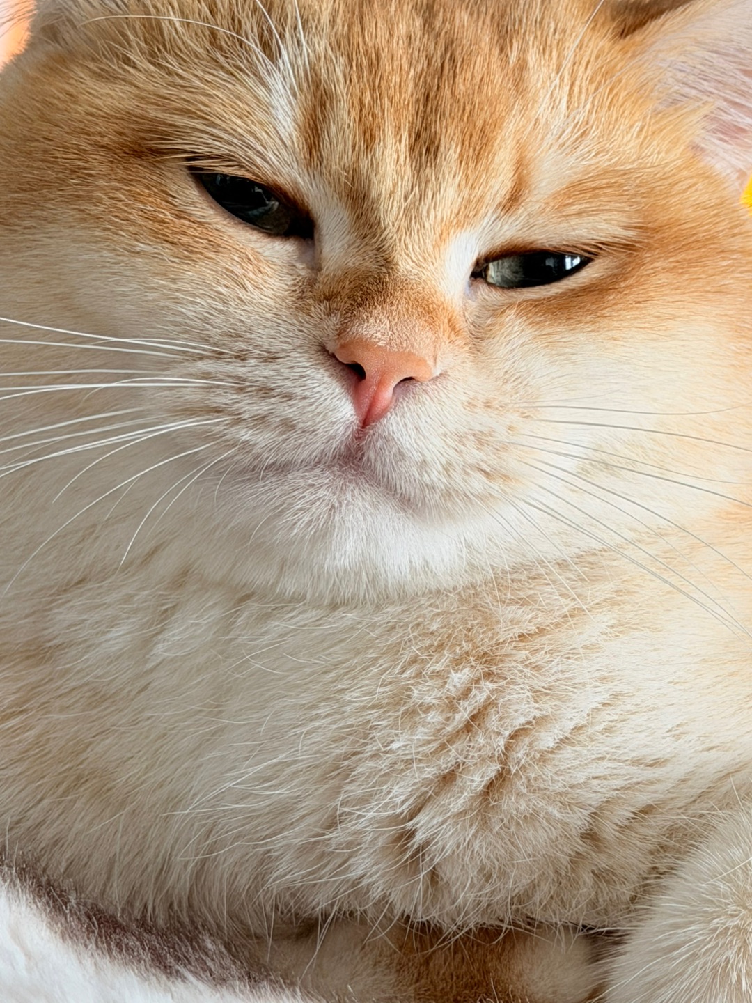 “我就喜欢看你干不掉我的样子”