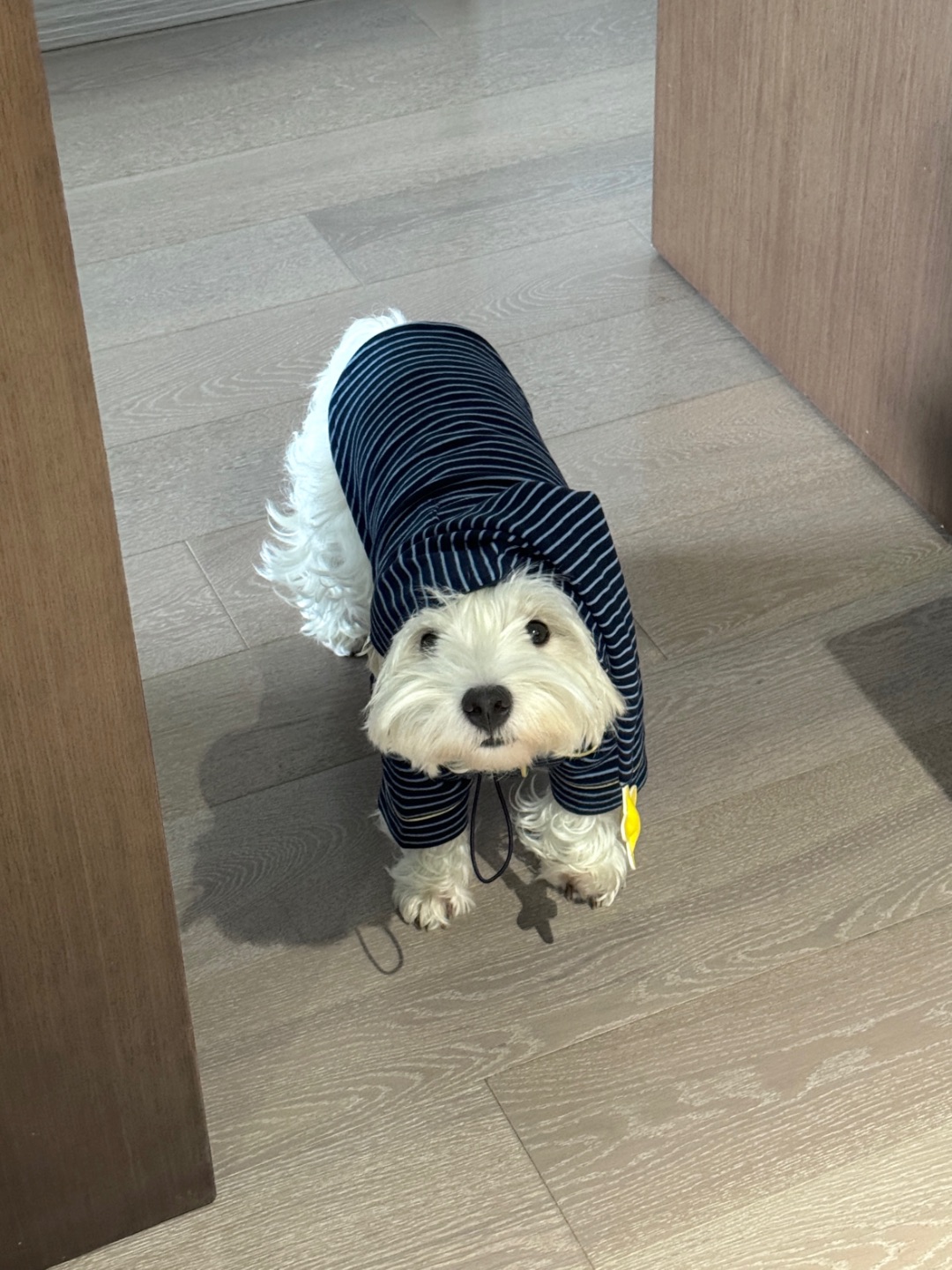 妈妈 睡醒 饭饭