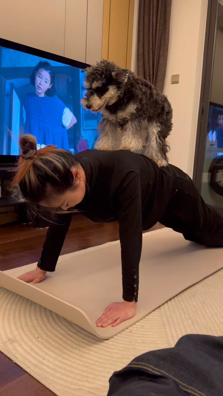 师傅俺真的不中列