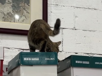 办公室是他的临时家12