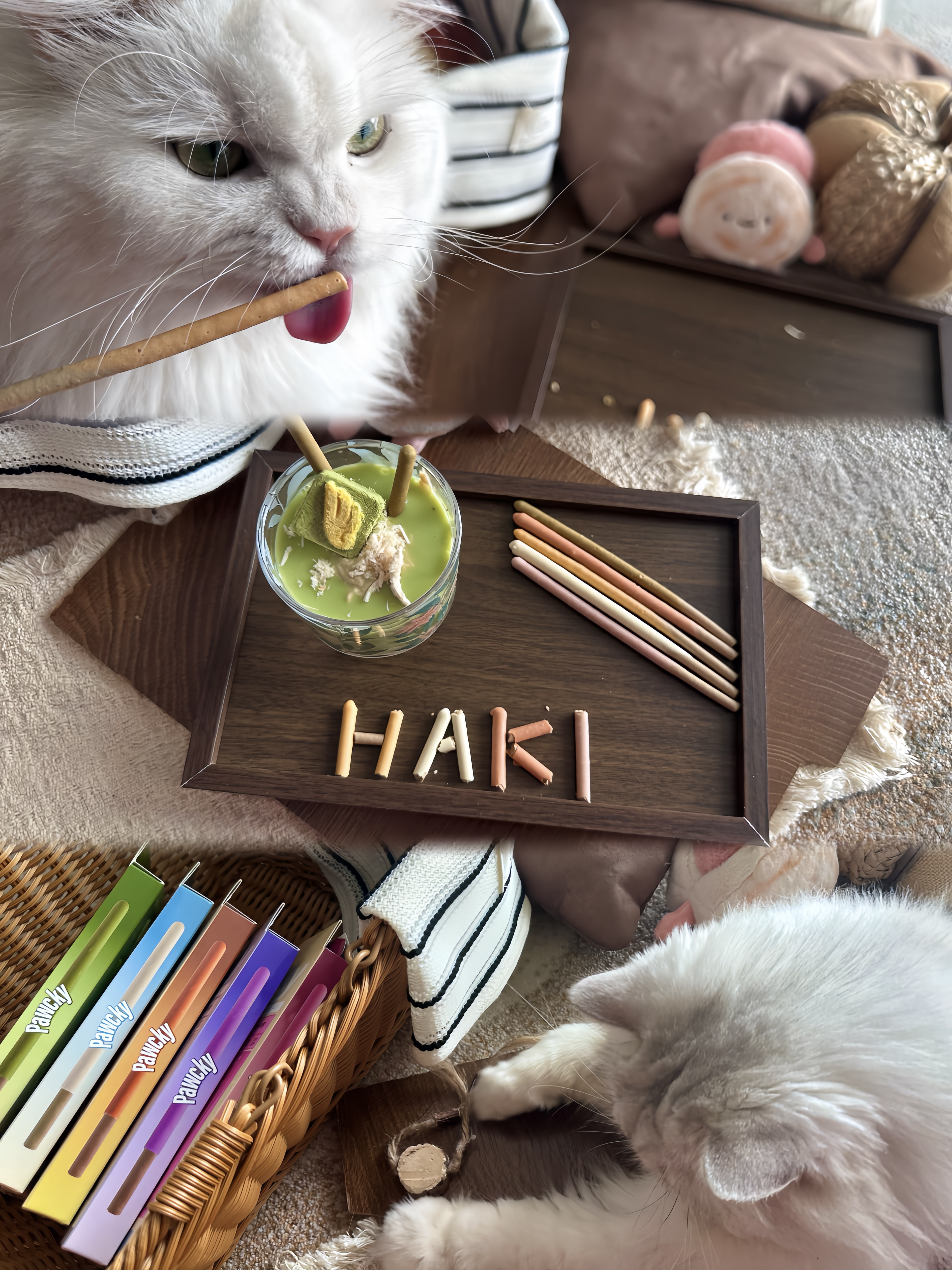 人类吃Pocky，宠物啃Pawcky！