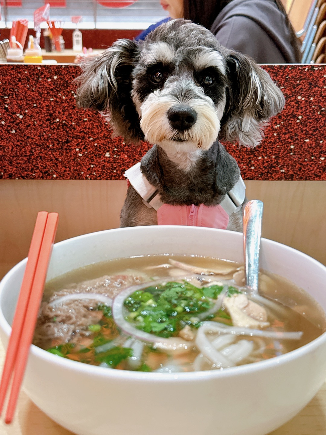 香喷喷的河粉有谁想吃啊😋