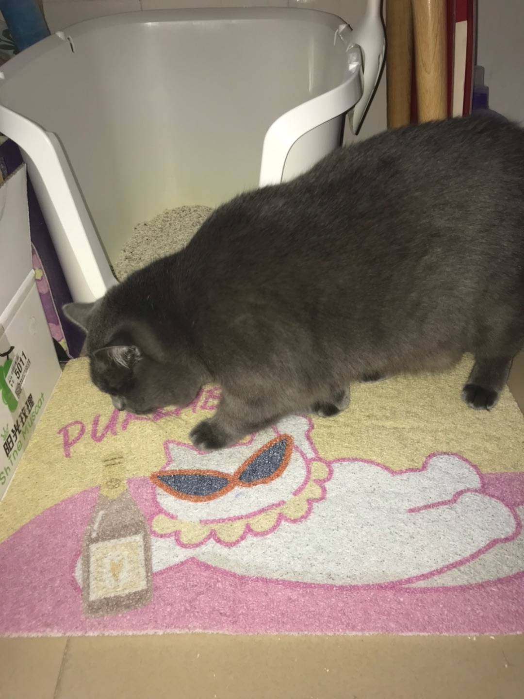 宠物猫砂垫测评📝