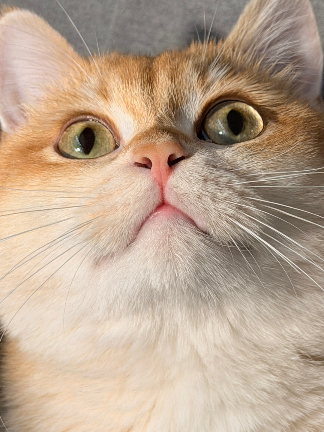 如果我有自己的有朋友圈💭