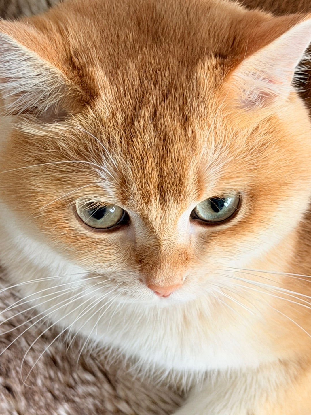 看我眼神，我看你还敢说什么