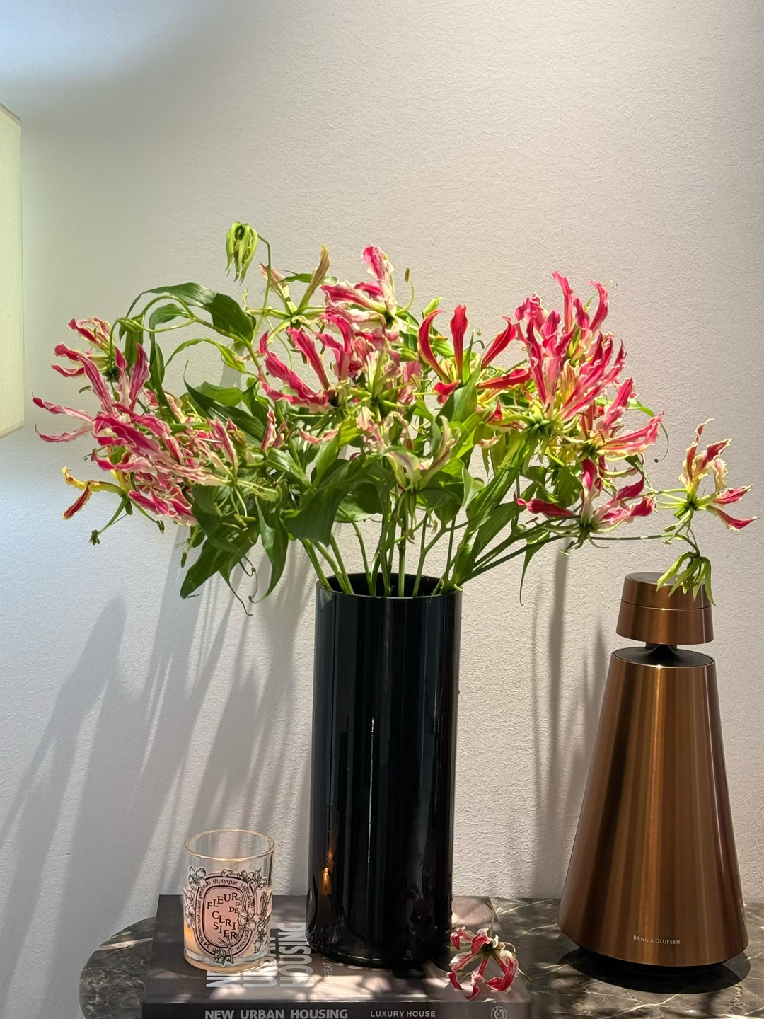 这个世界就像一个巨大的回音谷｜你发出什么声音