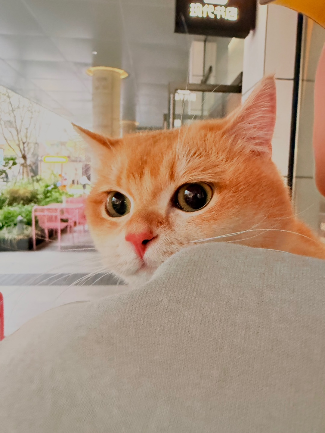 周末去city walk ～