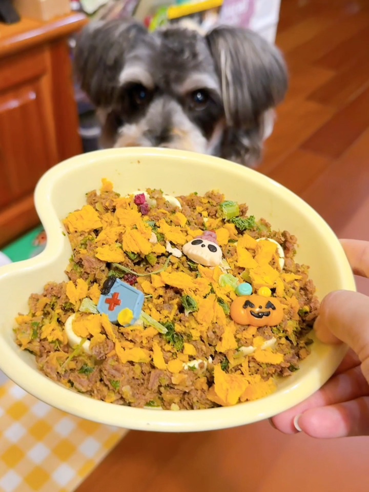 小狗有救了！是漂亮饭