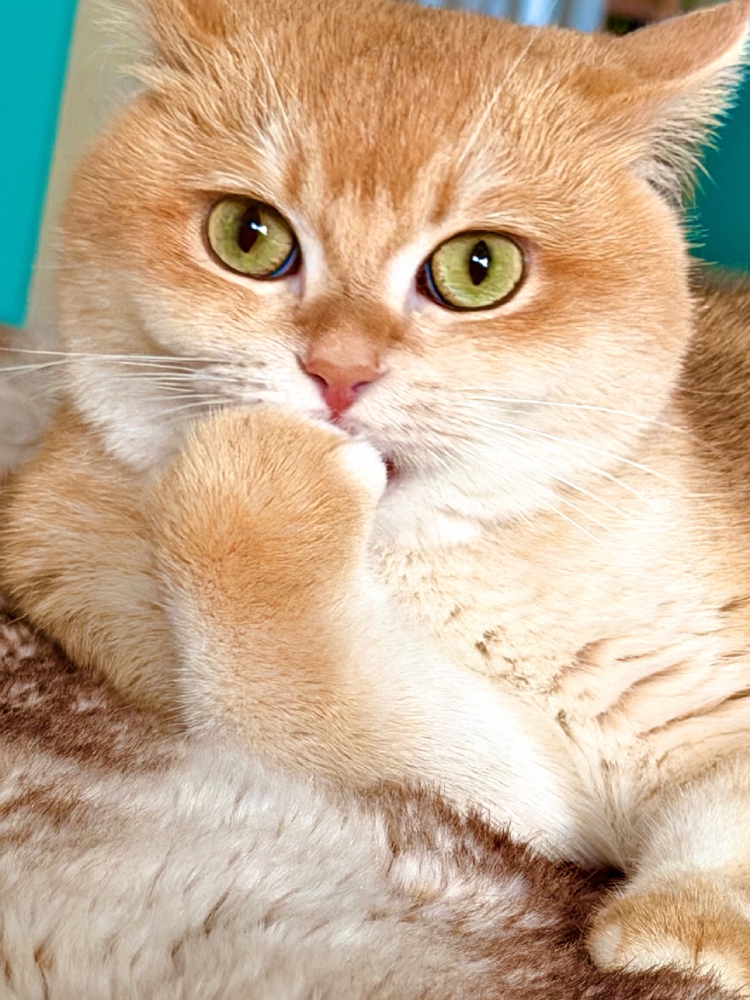 啊哦！你说对了，我要想想我该怎么解释这件事