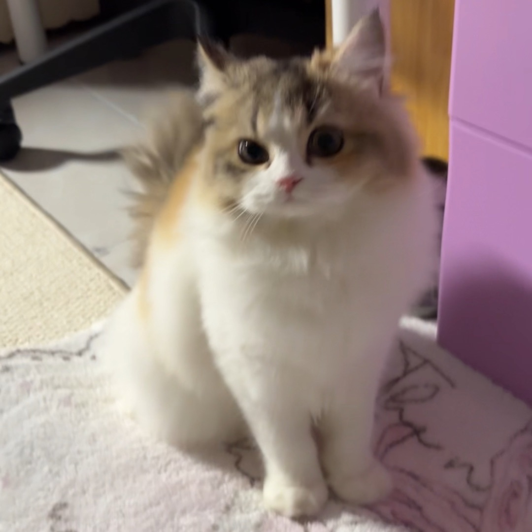 什么表情啊哈哈哈！