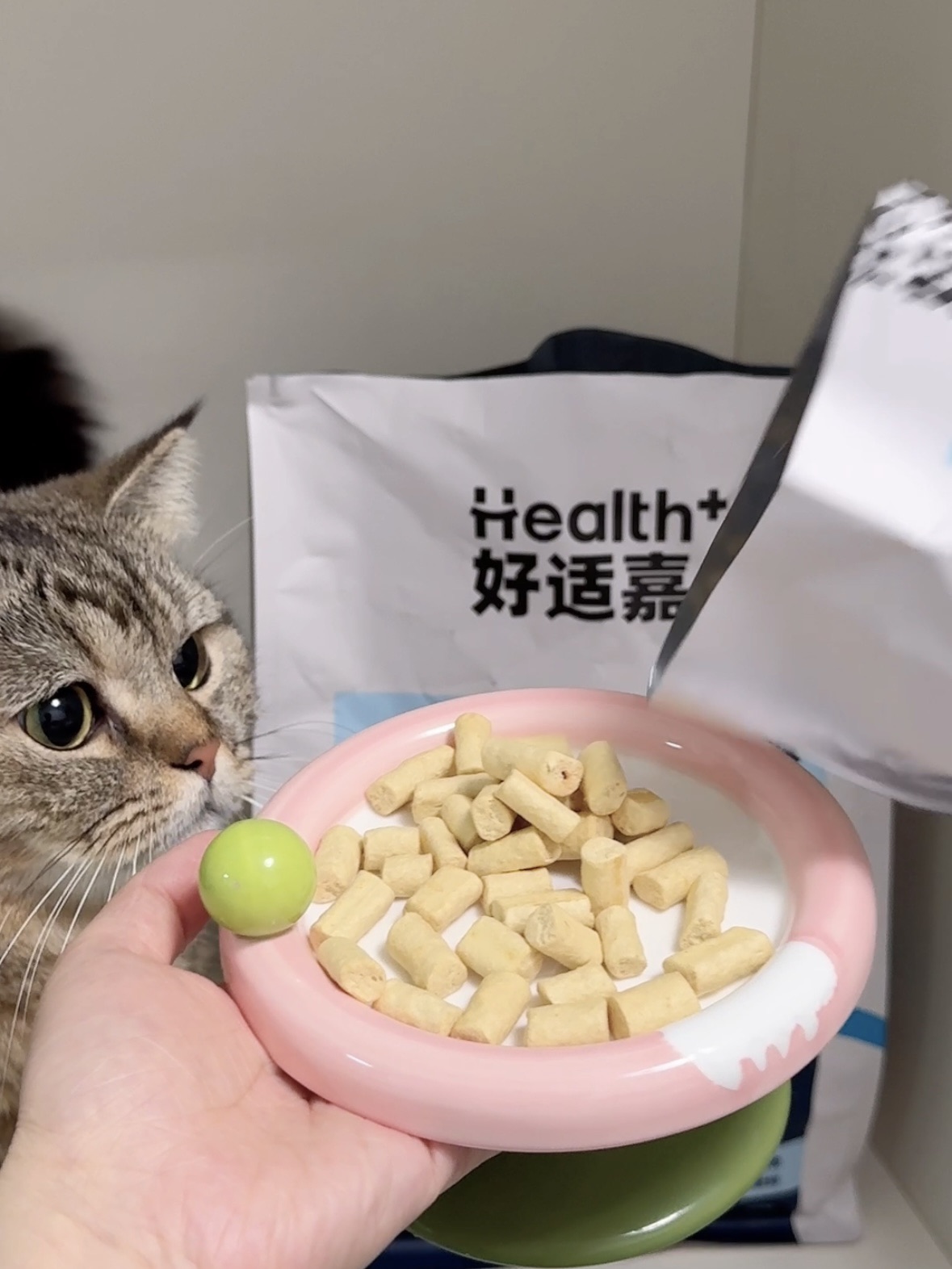 小馋猫最爱吃冻干