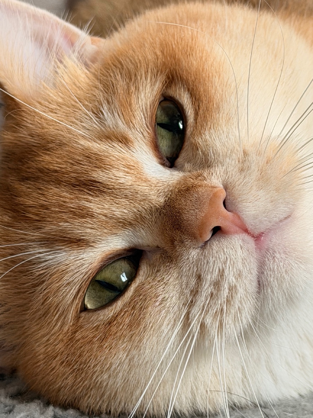 “真相只有一个”