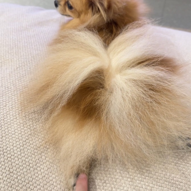 果然，人都喜欢玉足