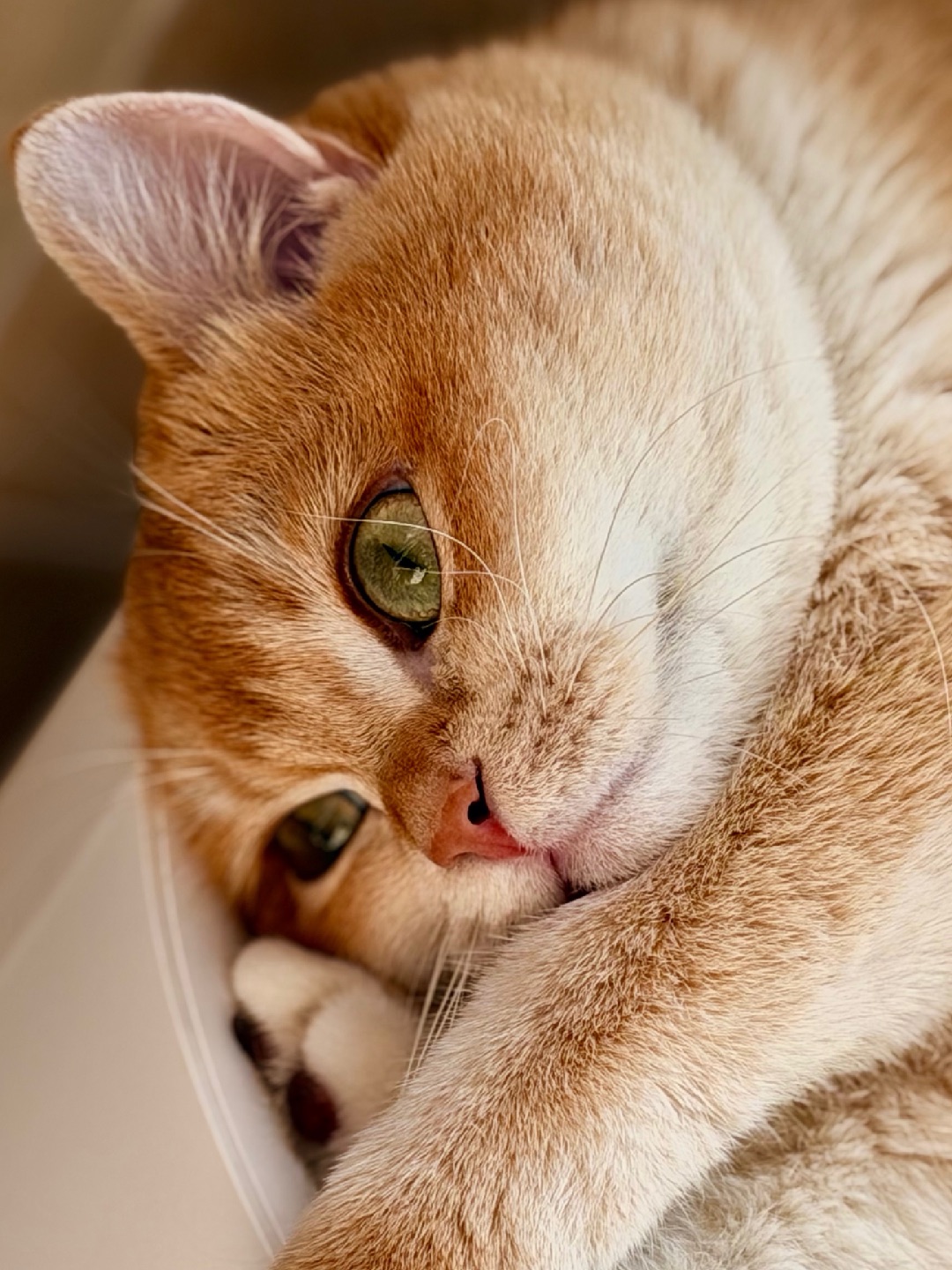 🎵思念是一种很玄的东西～ 想麻麻