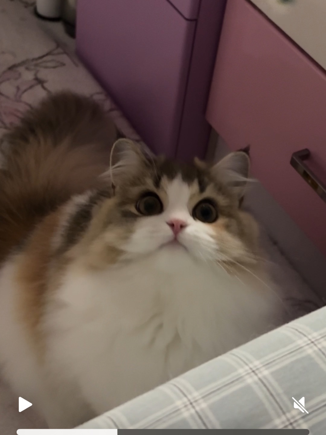 每次拍完视频就疯狂截图…