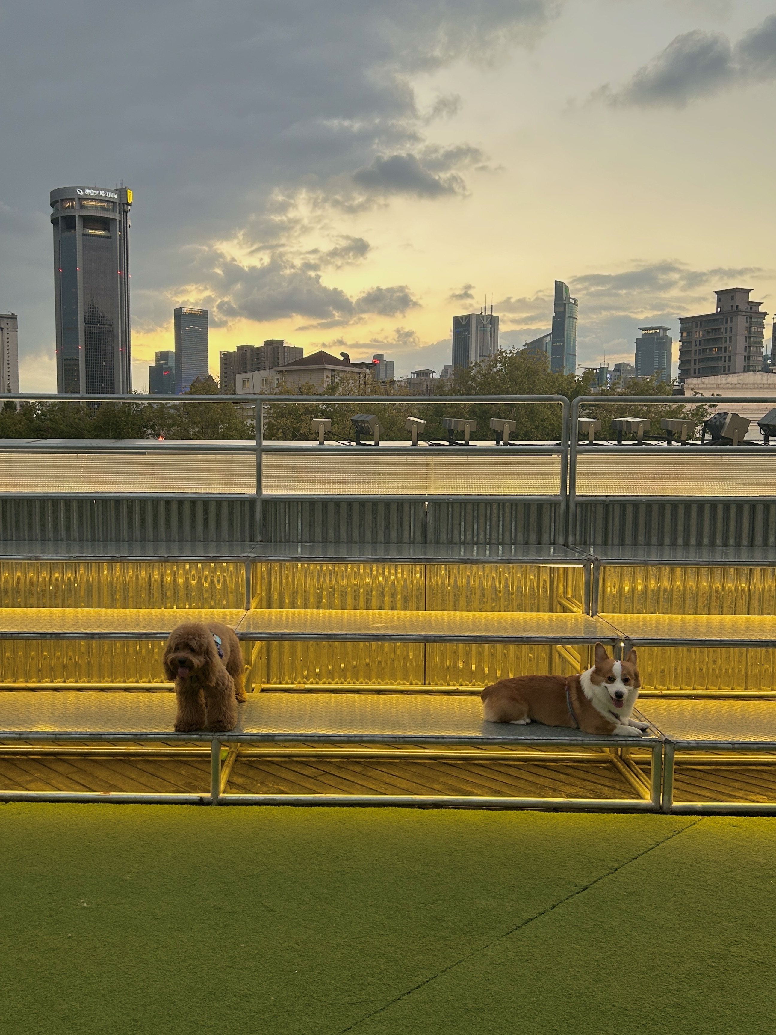 Cuca's Daily 捕捉落日🌇