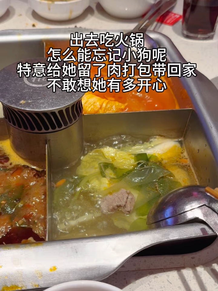 出去吃火锅也不能忘了小狗哦～