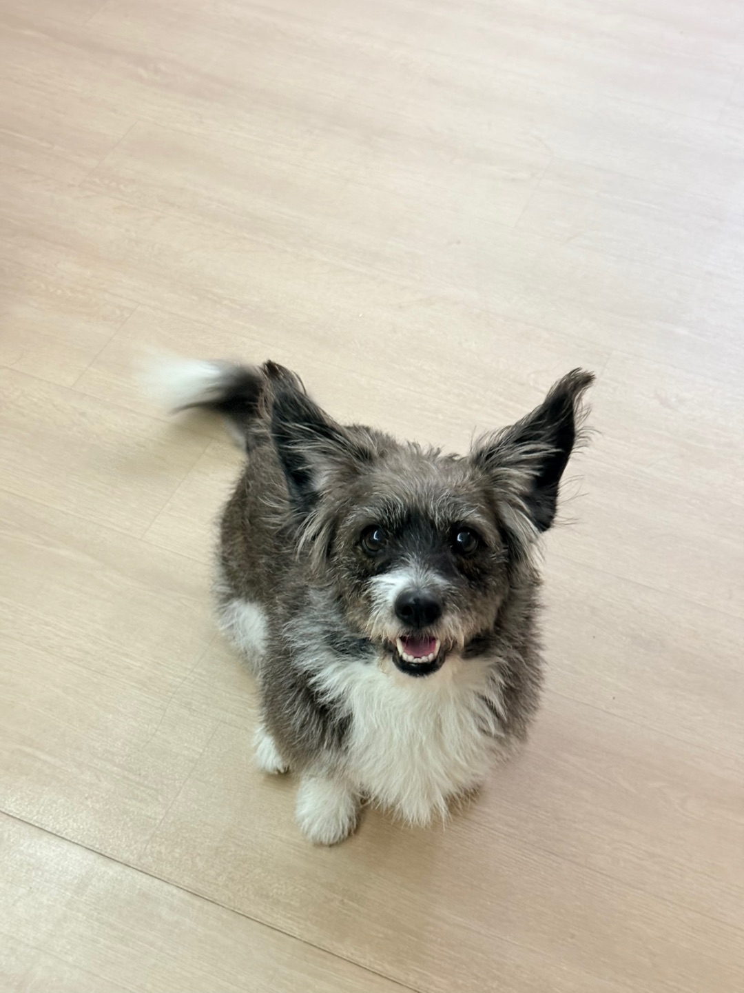 太可爱了吧宝宝