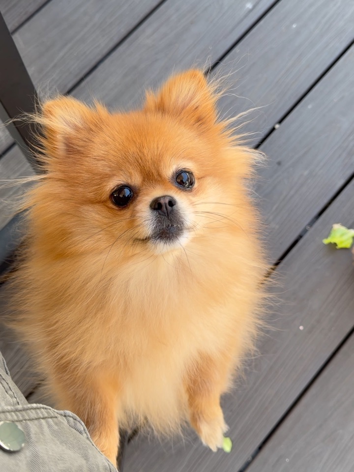 妈妈在吃什么好吃的，给我看看