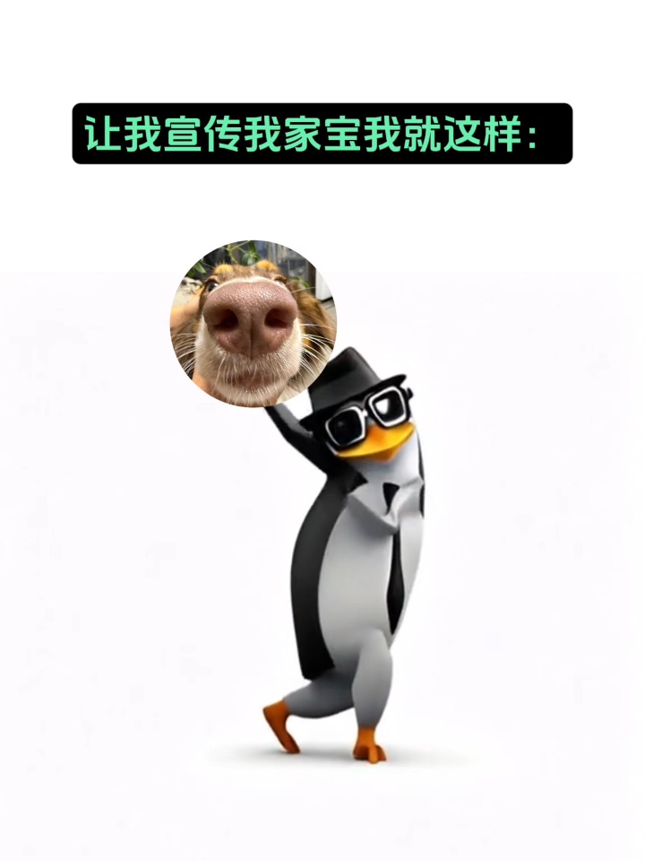 宣传宣传我家宝。