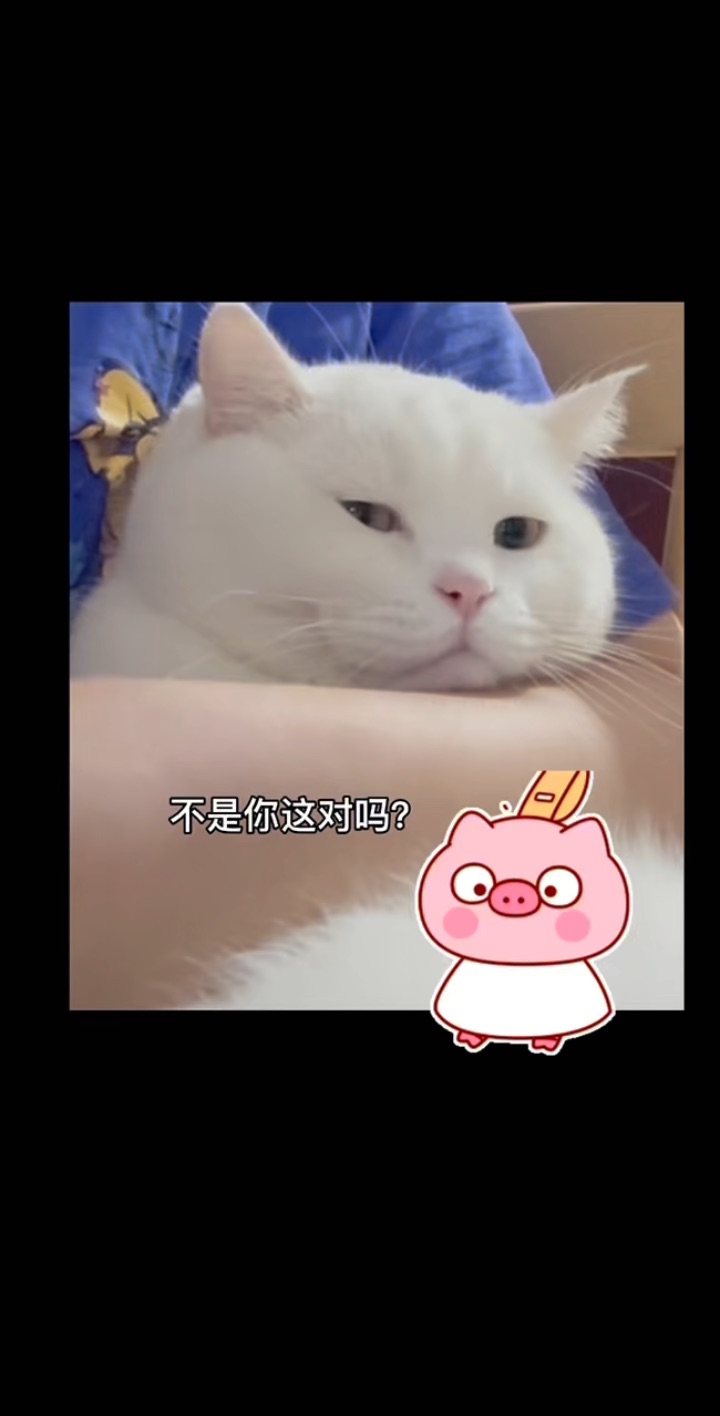 嘿嘿`(*∩_∩*)′