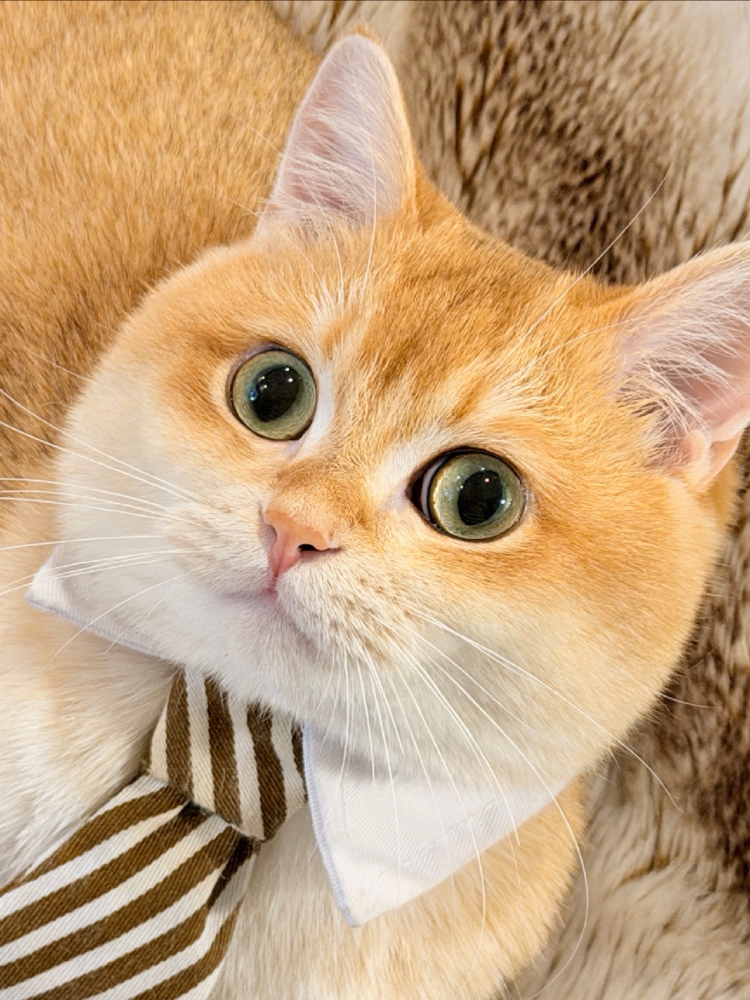 偷偷看看👀麻麻