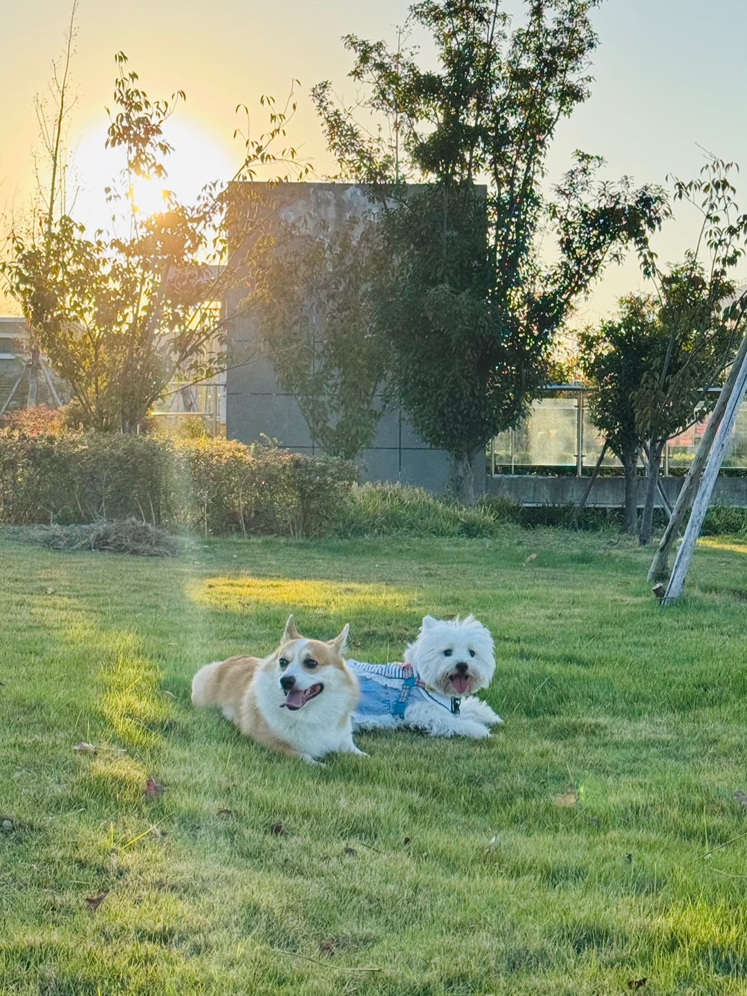 两小无猜太可爱啦