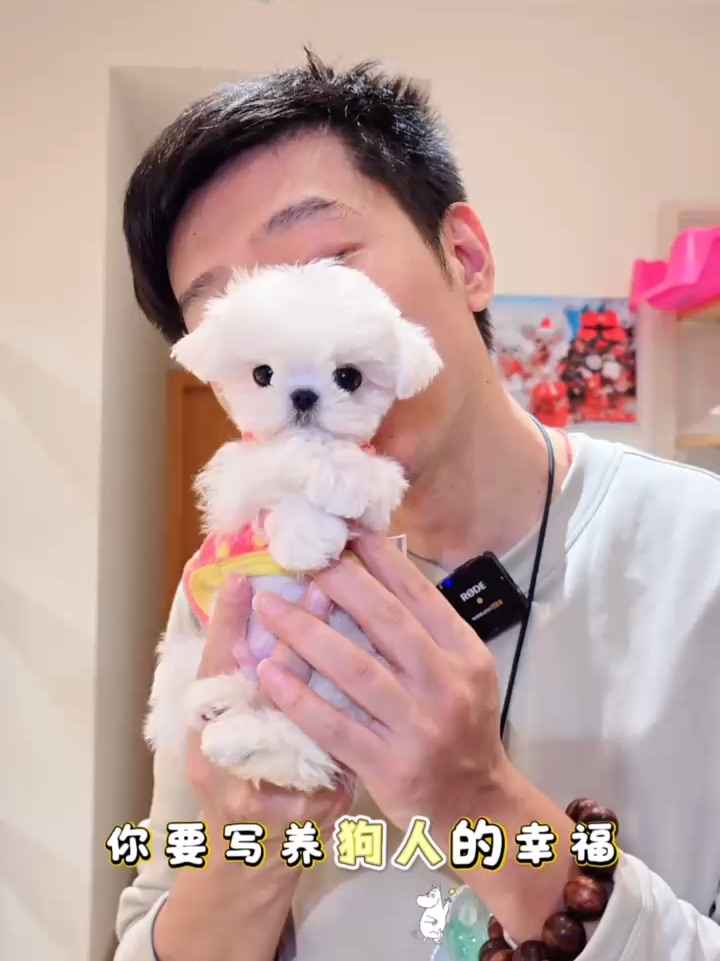 养狗人的幸福，是写不尽的双向奔赴💖