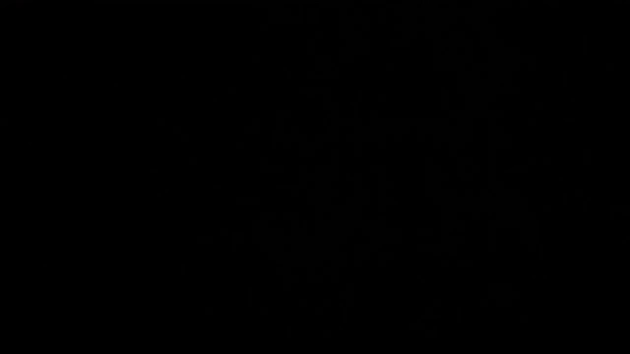 11.15 啊 哪来的猫藏在家里 啊