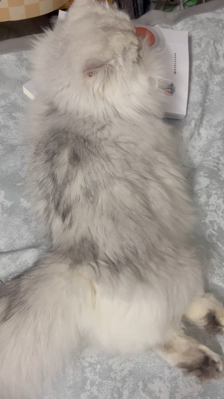 今天是想当学霸的一天