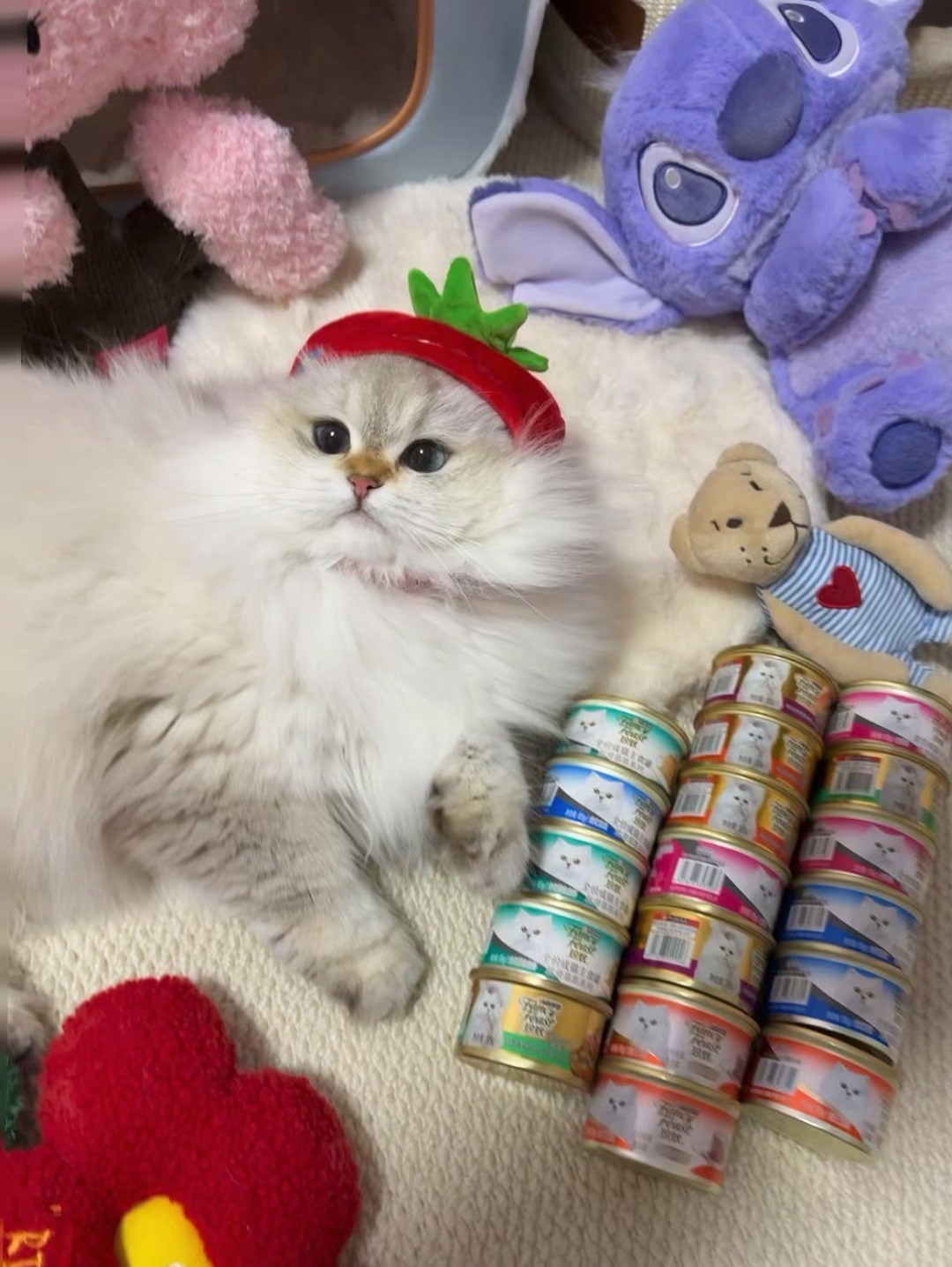 糖糖广告图～超可爱的～