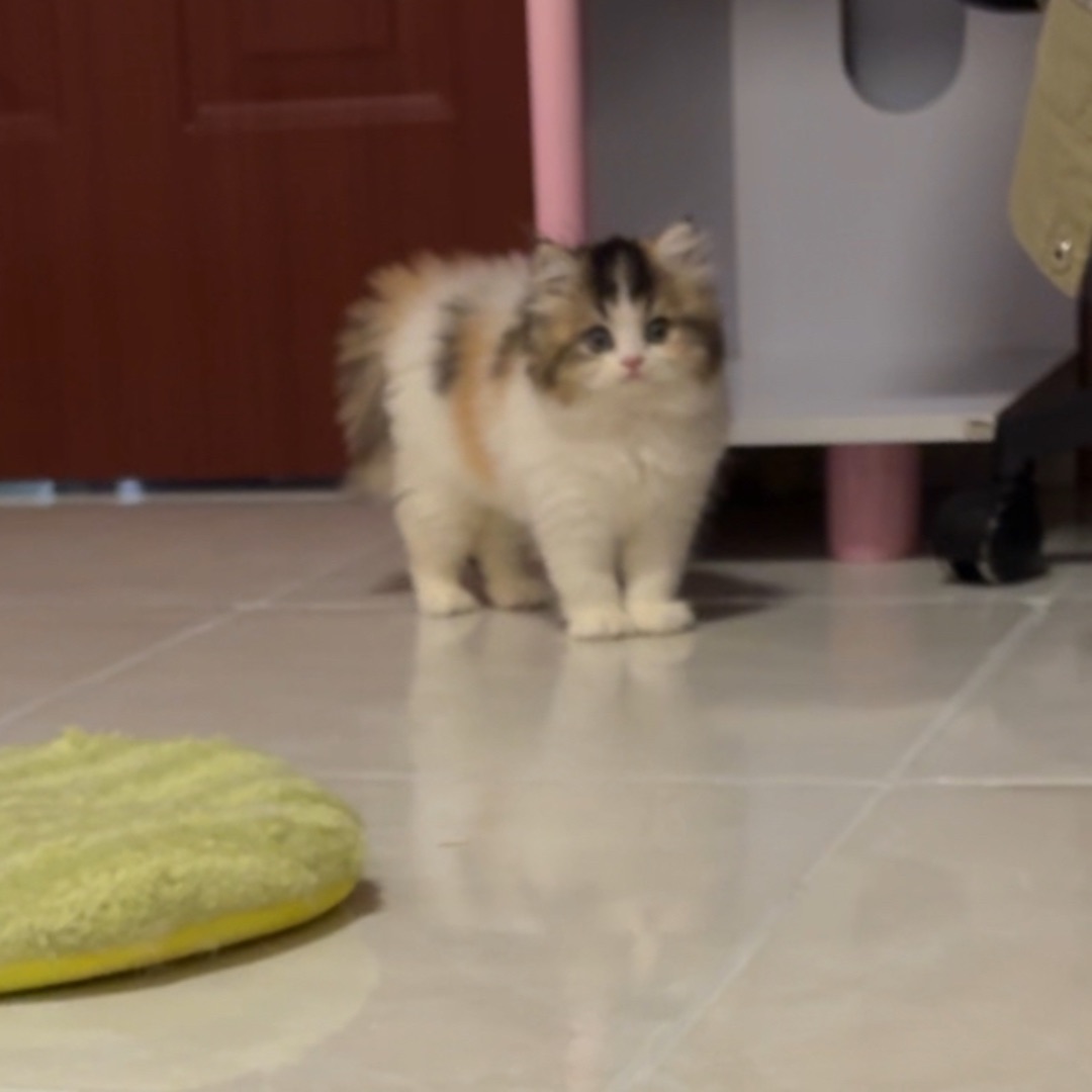 无比怀念小时候啊啊啊……