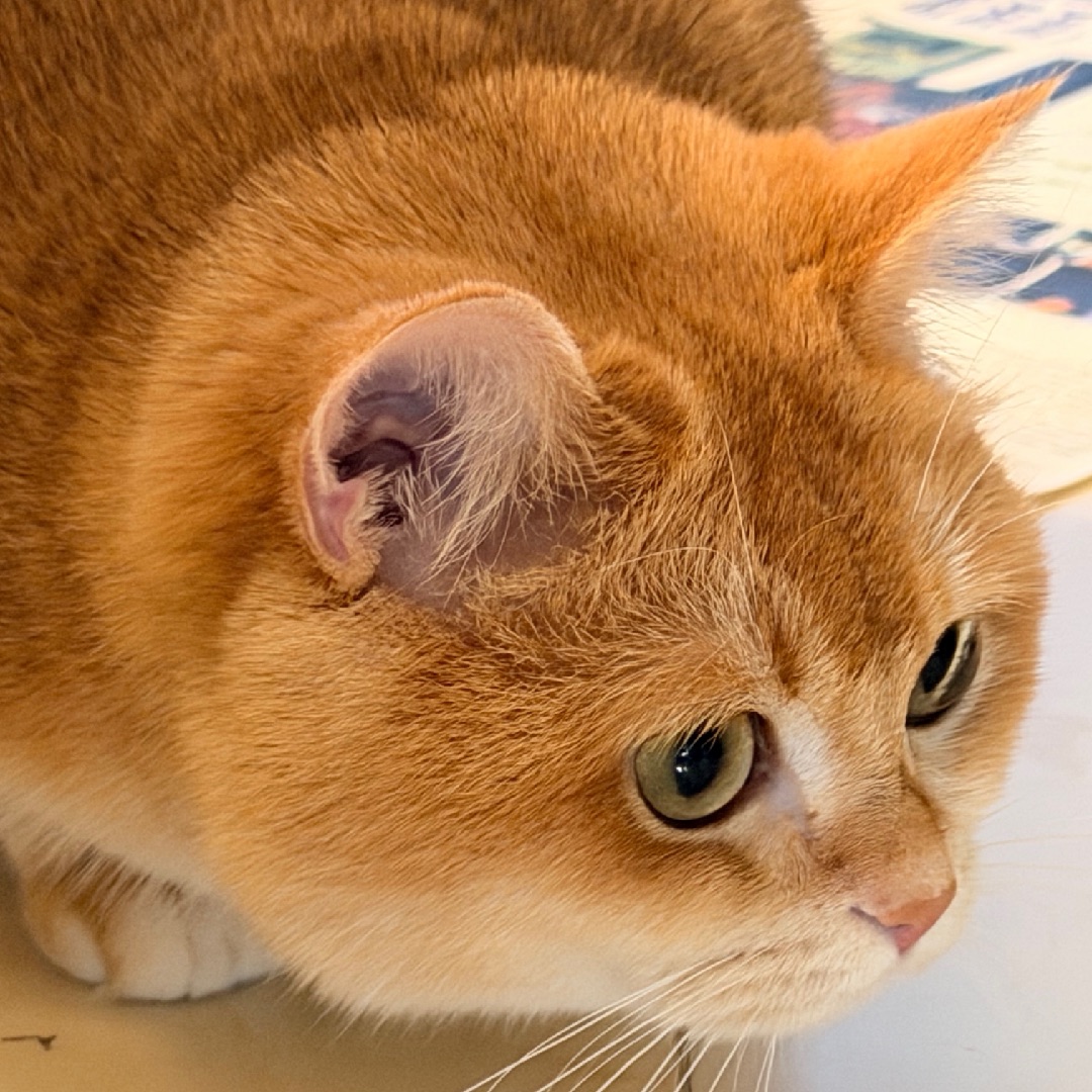 我要冲咯！麻麻，你准备好了吗🤣