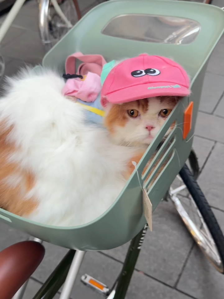 小猫🐱不知道他要去骑行