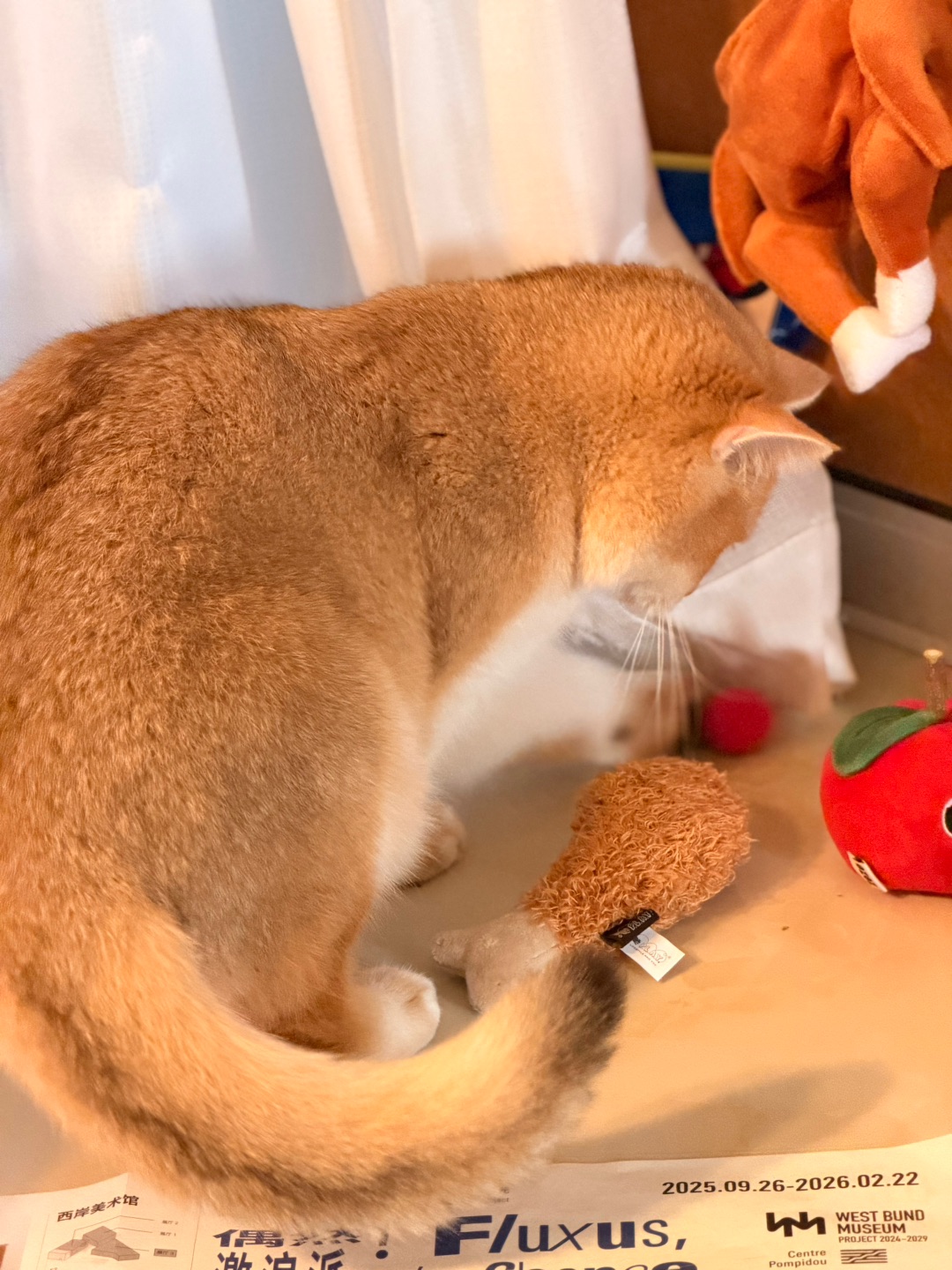 好想要！这里好多好次的🤤