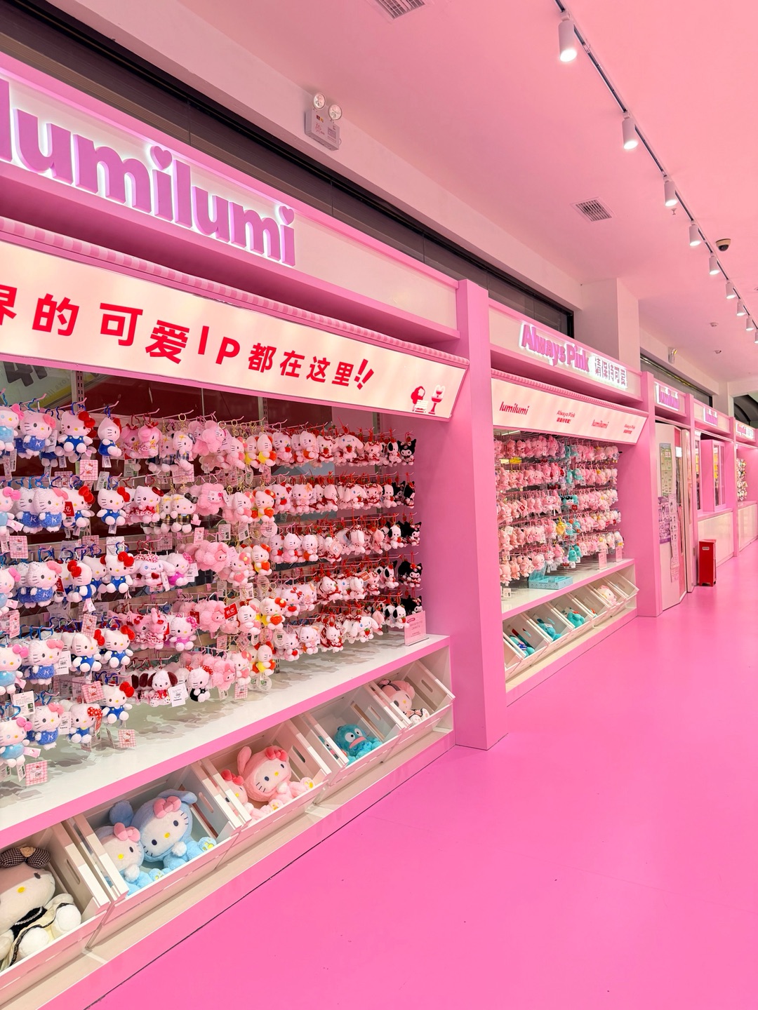 世界上zui可爱的ip集合啦