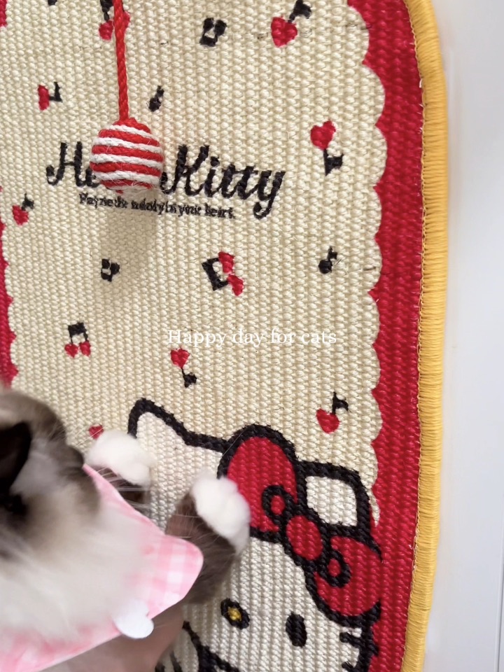 被凯蒂猫进攻的猫房！！