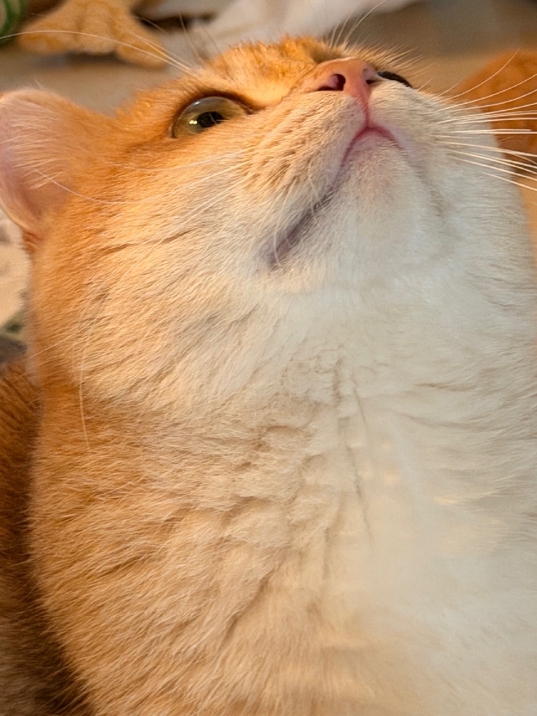 我跟杰瑞（Jerry）好像！嘻嘻