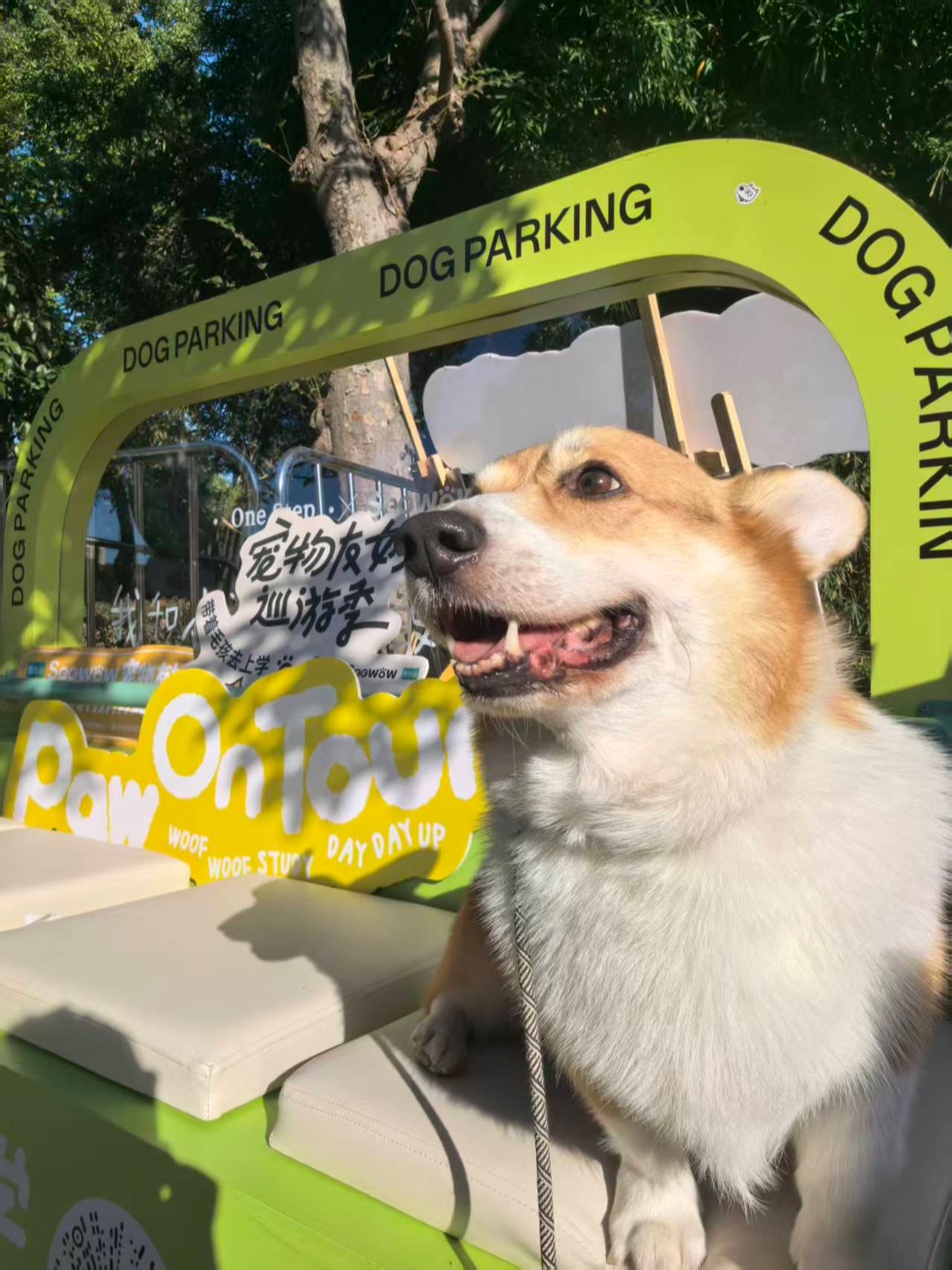 周末来一尺花园🌷seewow一下