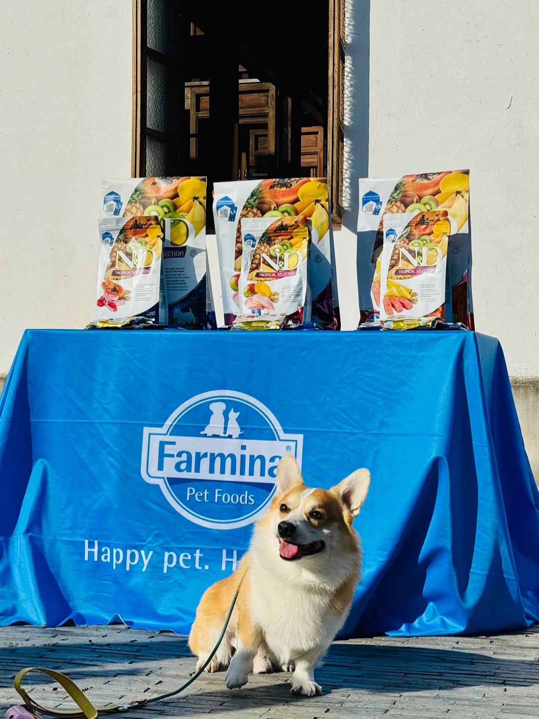 小狗课堂又开课啦～