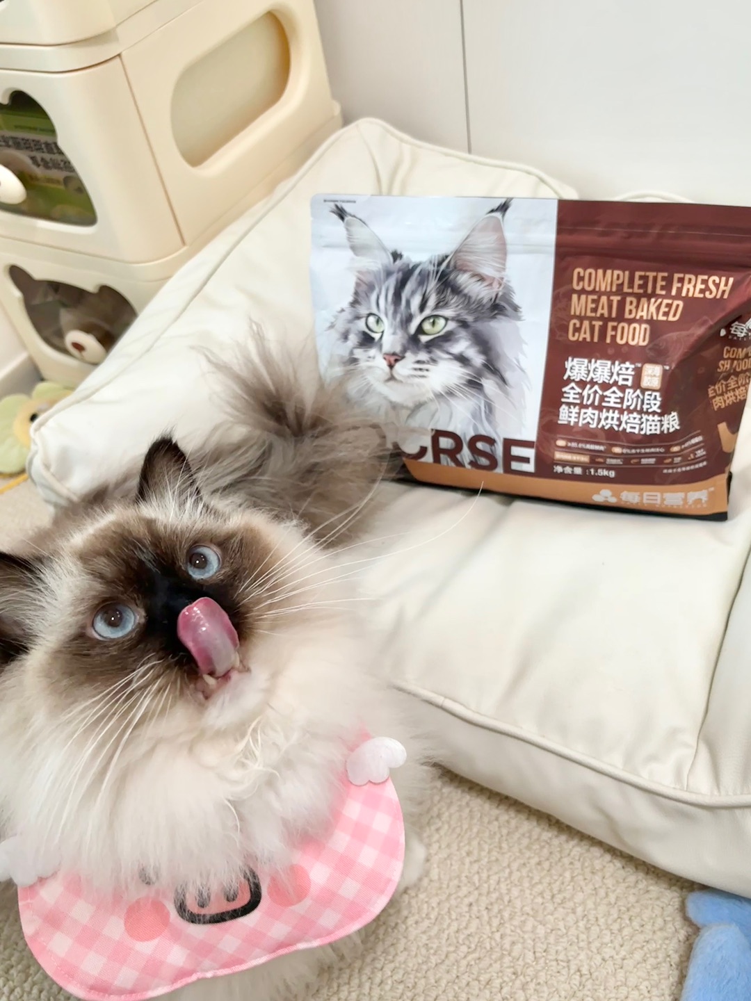 🐷小猪咪干饭魂觉醒！粉色围兜+憨憨表情萌到炸裂