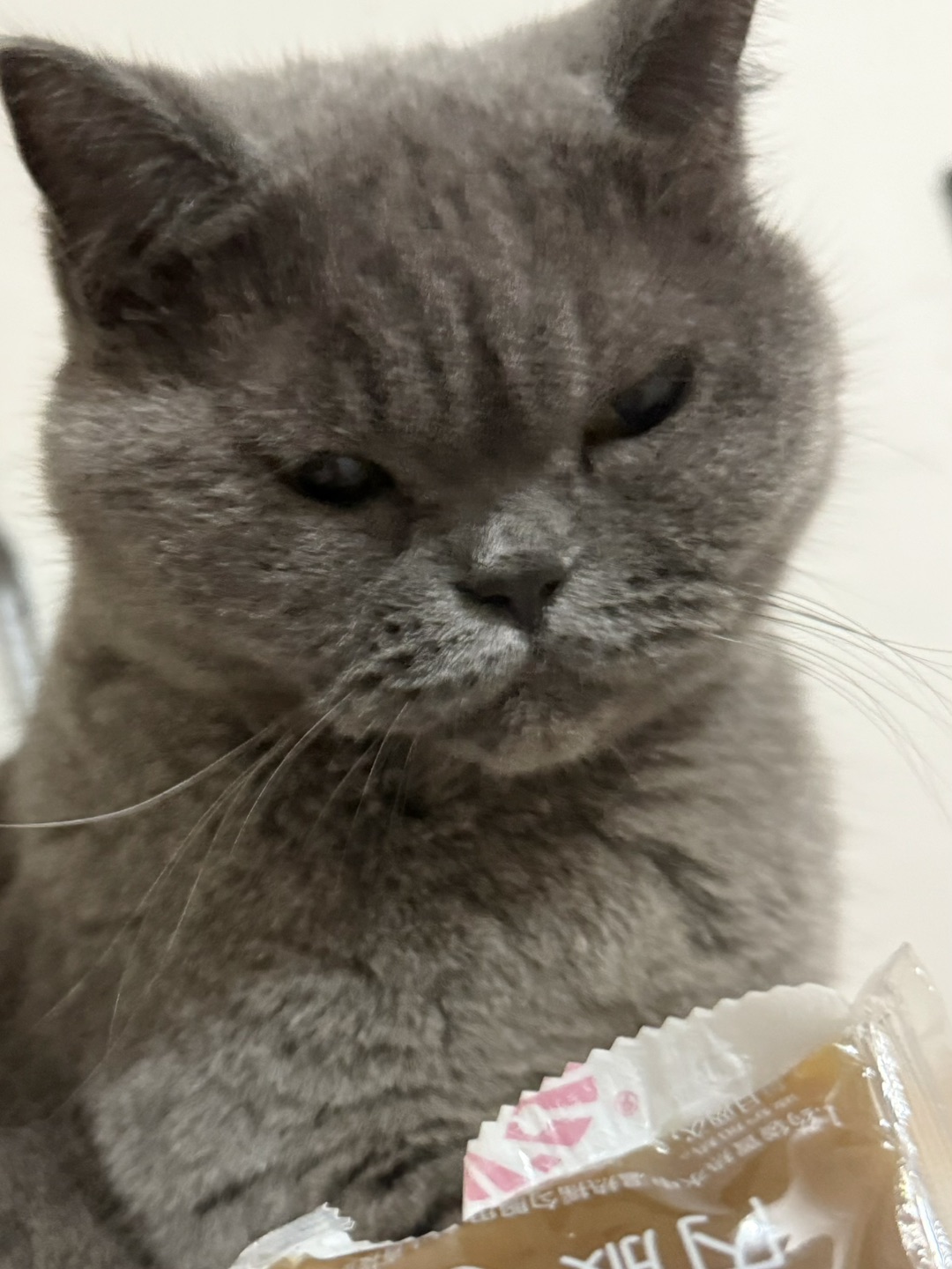 😼皮皮：这中药味儿我真的谢