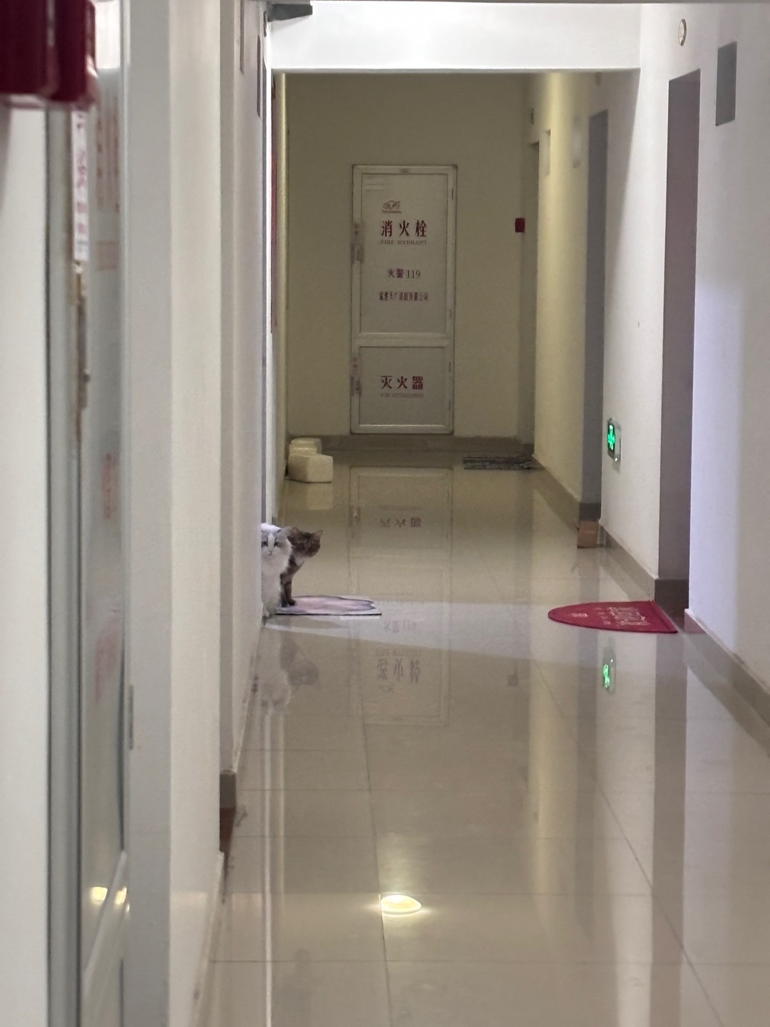 又跑到别人家去了