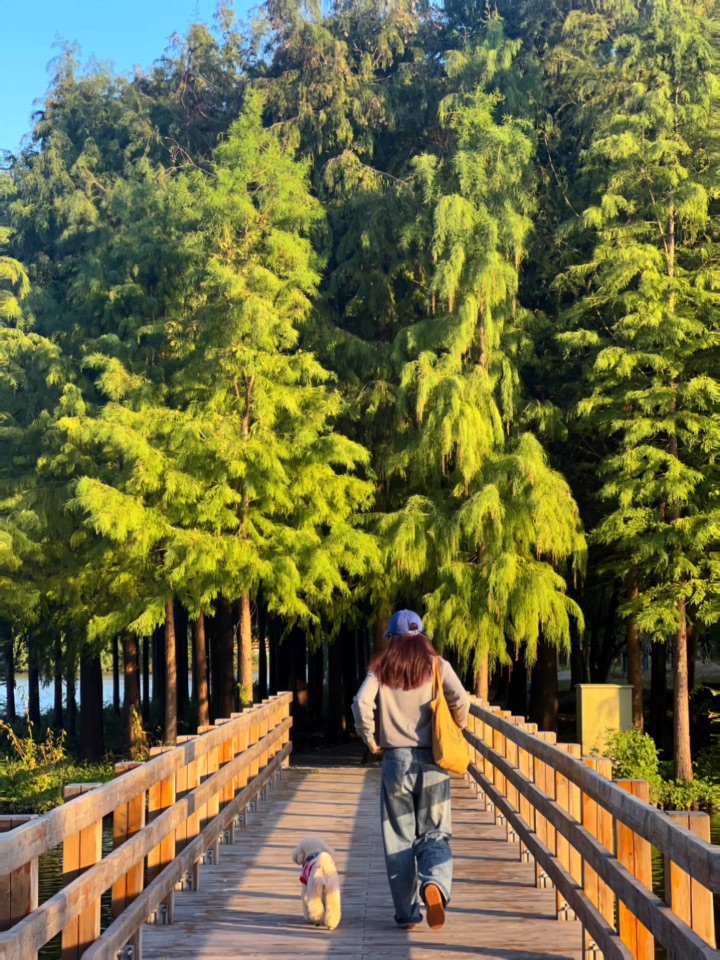 🔛开始拼凑秋天的颜色💛🧡🤎