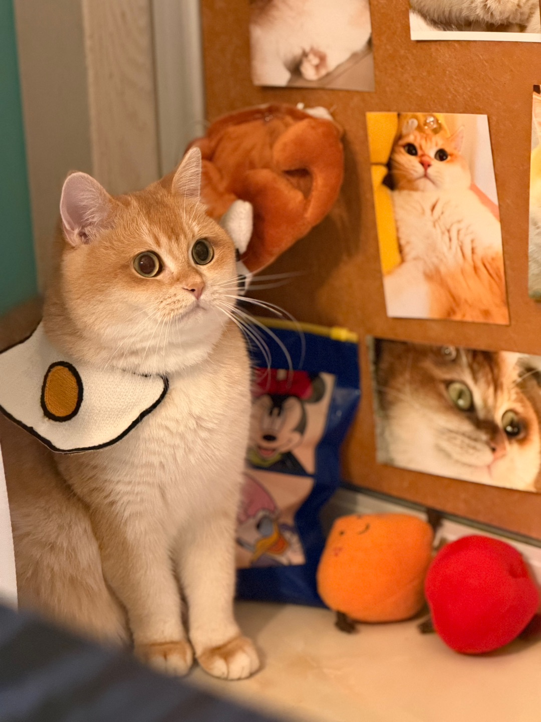 麻麻居然拍到了我的全身照