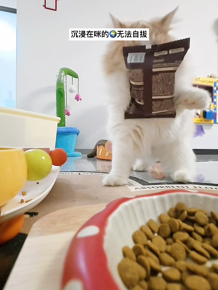 咪偷吃被抓包实录